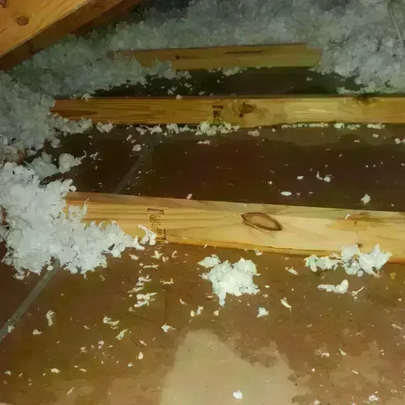 Attic Water Damage in Liberty, IN