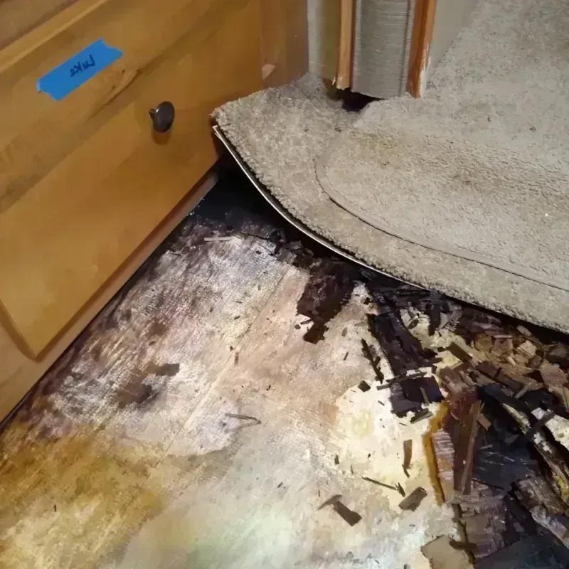 Best Wood Floor Water Damage Service in Liberty, IN